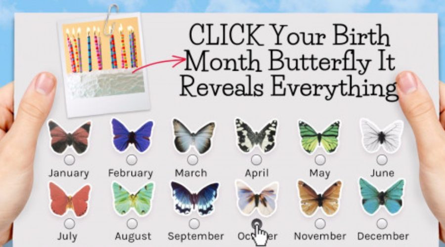 birth month butterflies
